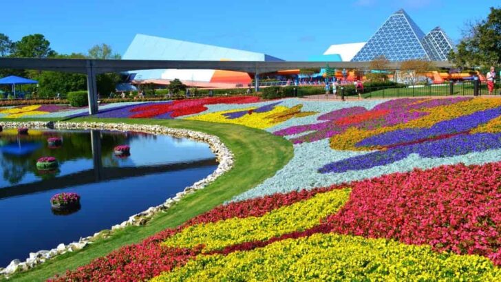 Guide to Going to Disney World in April
