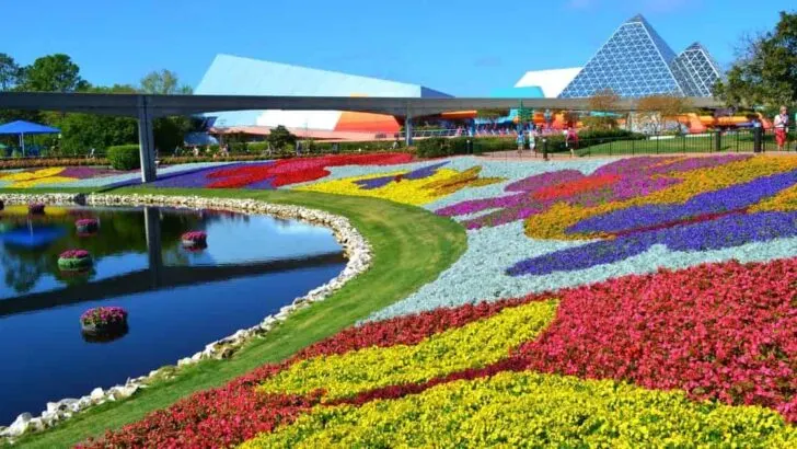 Guide to Going to Disney World in April