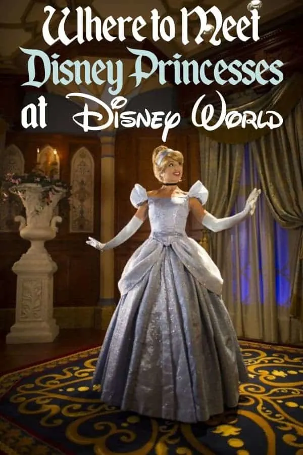 Disney Princesses at Disney World
