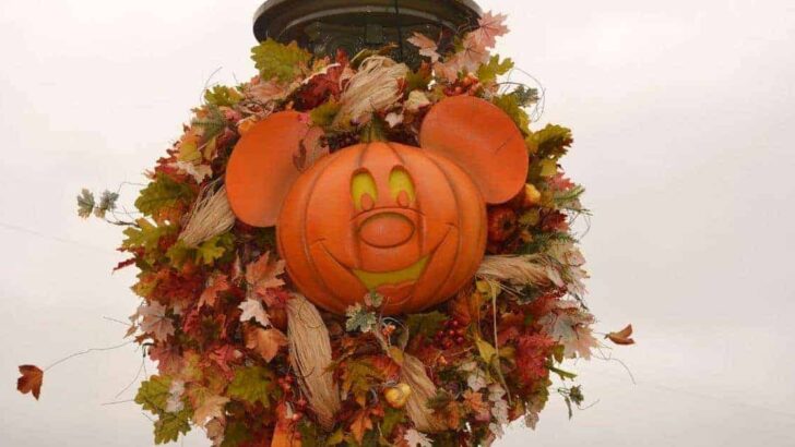 Halloween Weath at Magic Kingdom