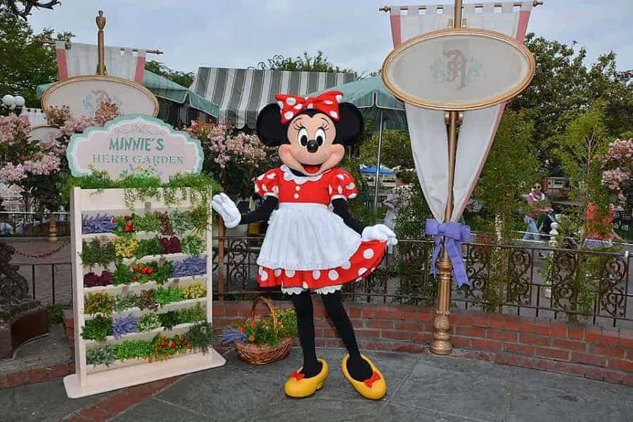 Meeting Minnie Mouse in Disneyland