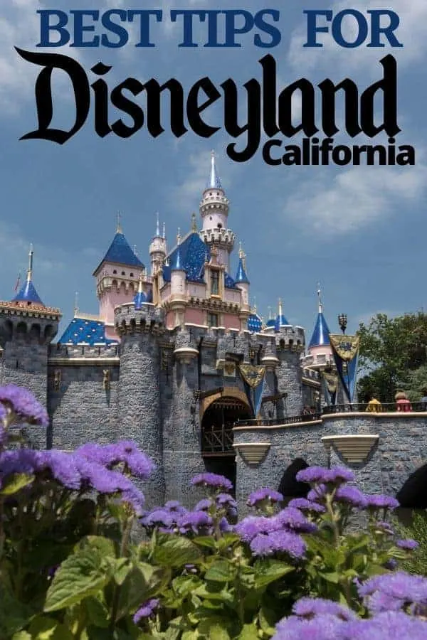 Our Best Disneyland Tips