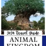 We hope this guide to Animal Kingdom helps you have a wonderful time! If you are looking for more detailed information, see the posts below