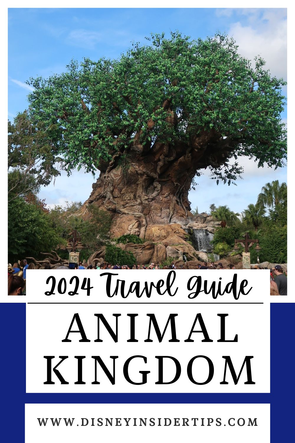 We hope this guide to Animal Kingdom helps you have a wonderful time! 

If you are looking for more detailed information, see the posts below
