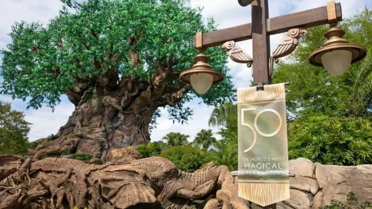 Animal Kingdom during 50th Anniversary Celebration