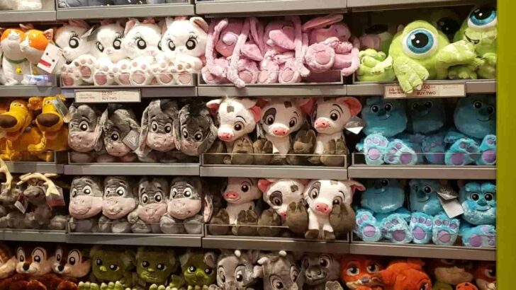 Disney Plush Souvenirs