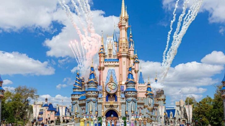 Disney Welcome Show