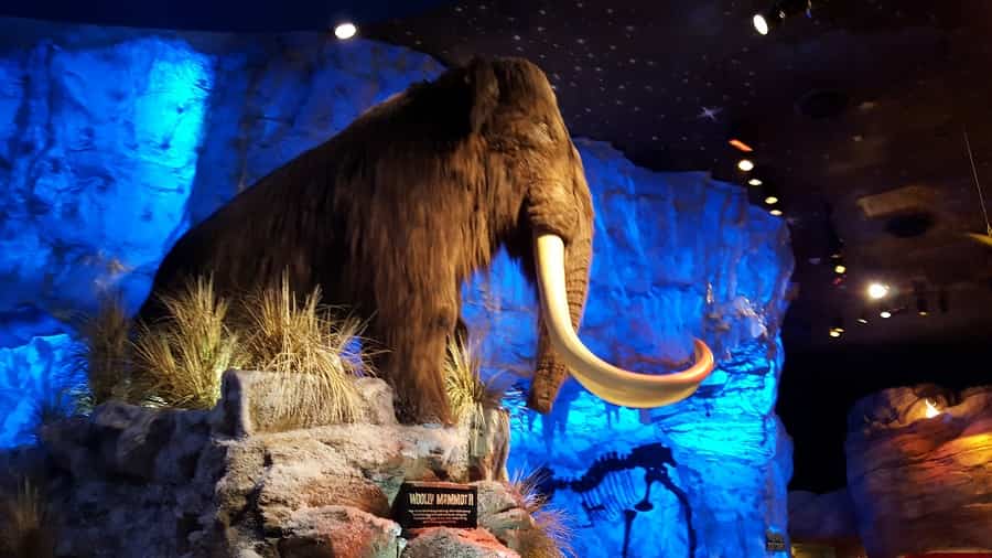dinosaur restaurant disney springs