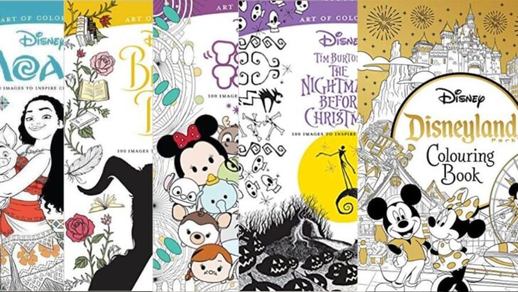 Disney Coloring Books for Adults