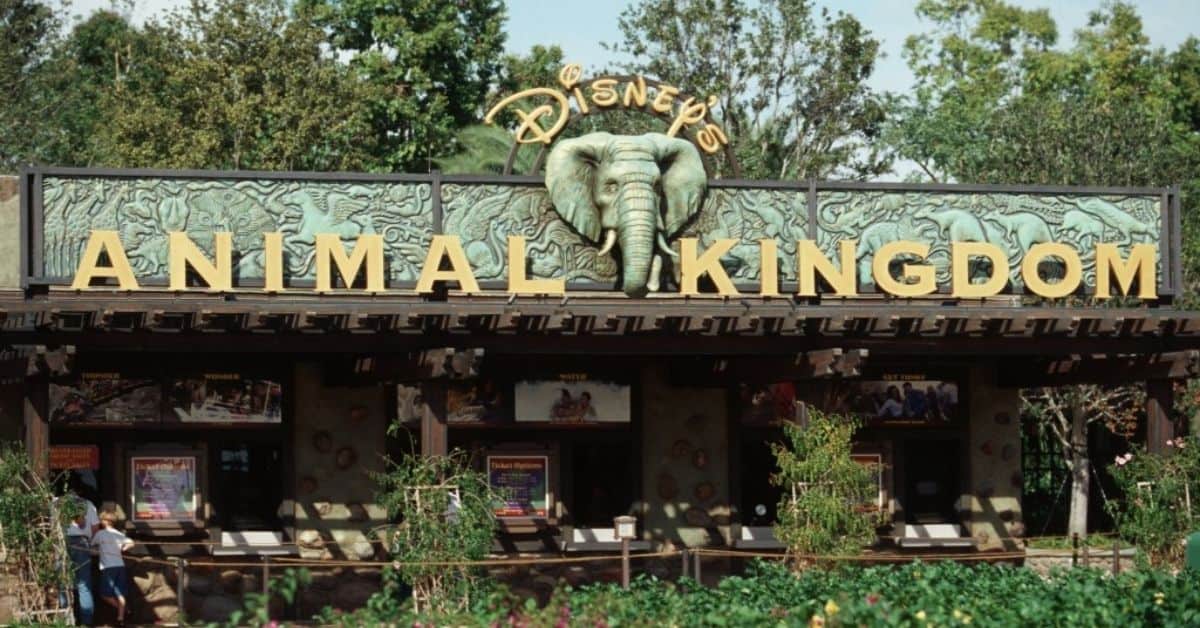 Animal Kingdom Entrance