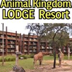 Guide to Animal Kingdom Lodge Resort