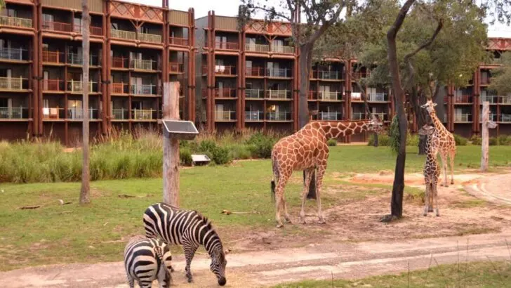 Animal Kingdom Lodge Resort