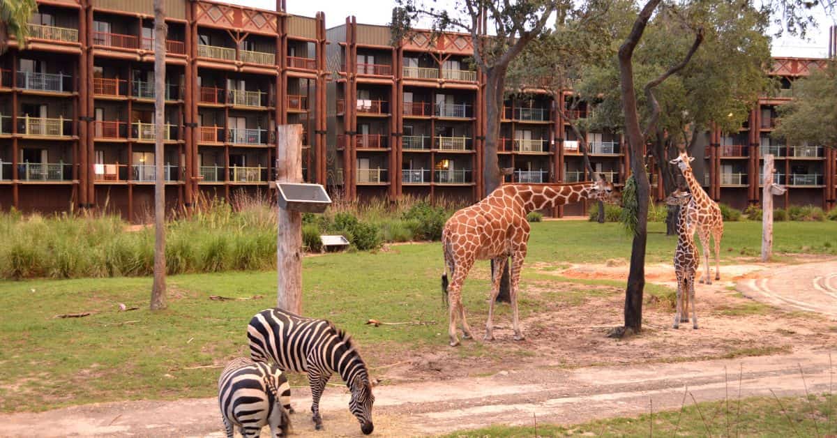 Animal Kingdom Lodge Resort