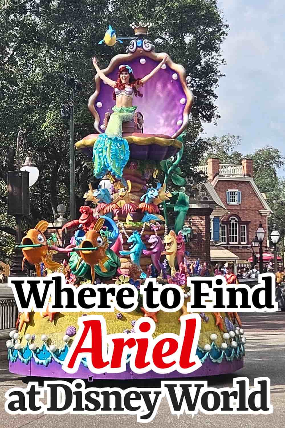 Where to find Ariel in Disney World