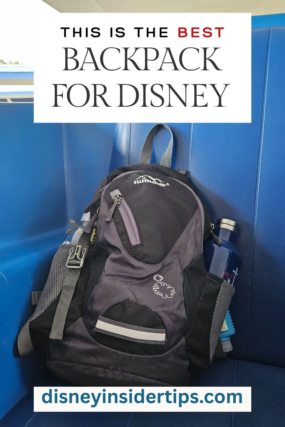 Best Backpack for Disney