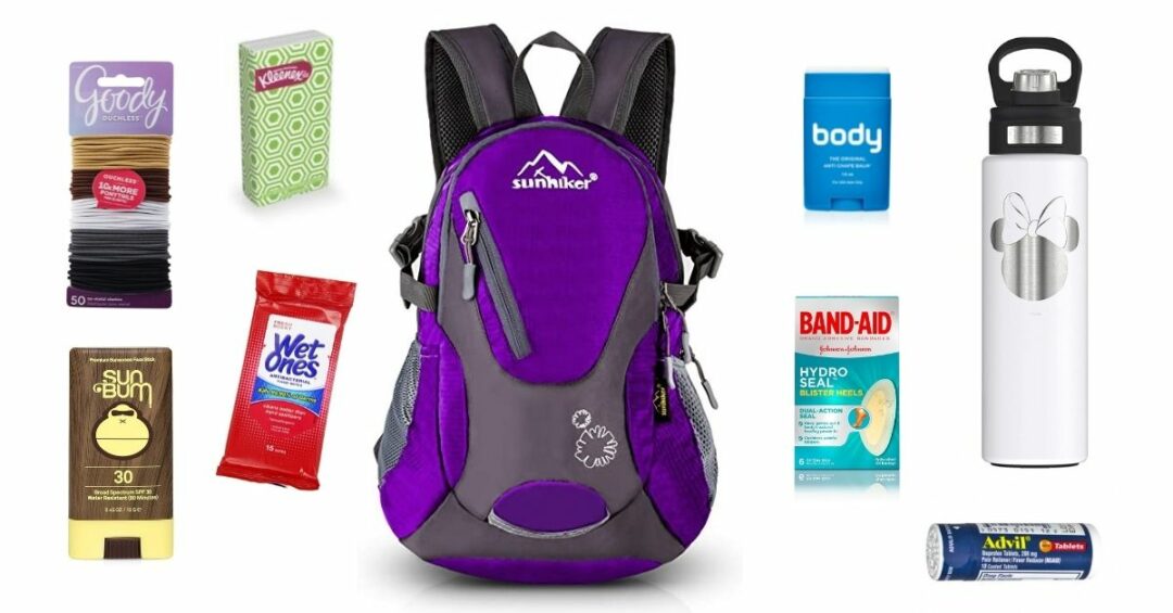 Best Backpack for Disney World