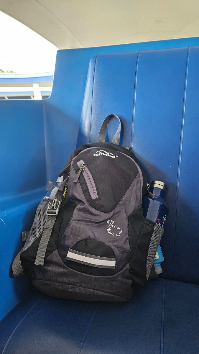 Backpack for Disney