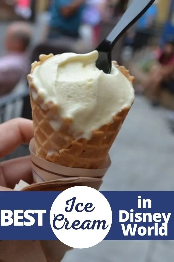 Best Disney World Ice Cream : L'Artisan des Glaces
