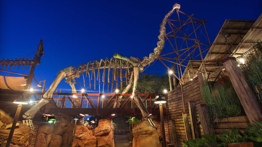 Boneyard in Animal Kingdom Dinoland USA