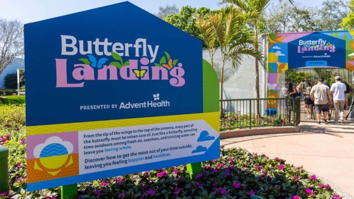 Butterfly House at the Epcot Flower & Garden Festival