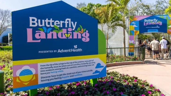 Butterfly House at the Epcot Flower & Garden Festival