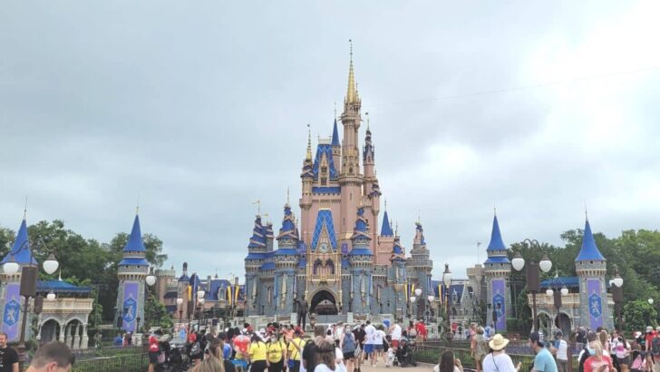 Cinderella Castle Makeover