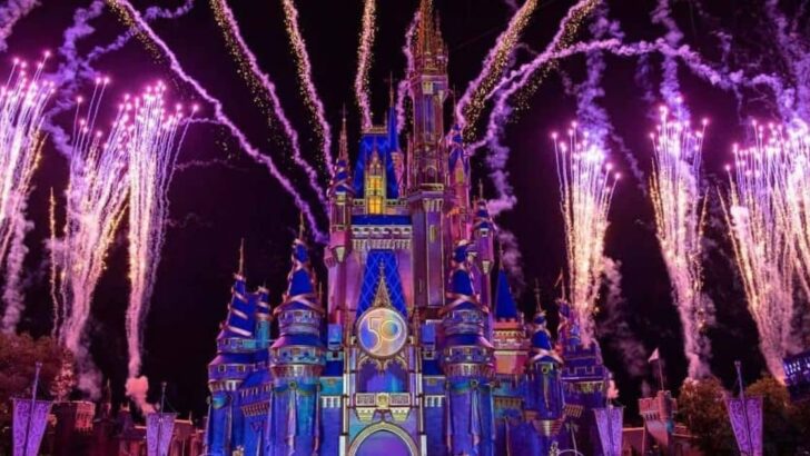 Disney Castle Fireworks