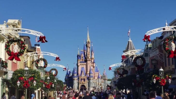 Disney Castle at Christmas