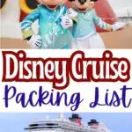 18 BEST Disney Cruise Packing List Items