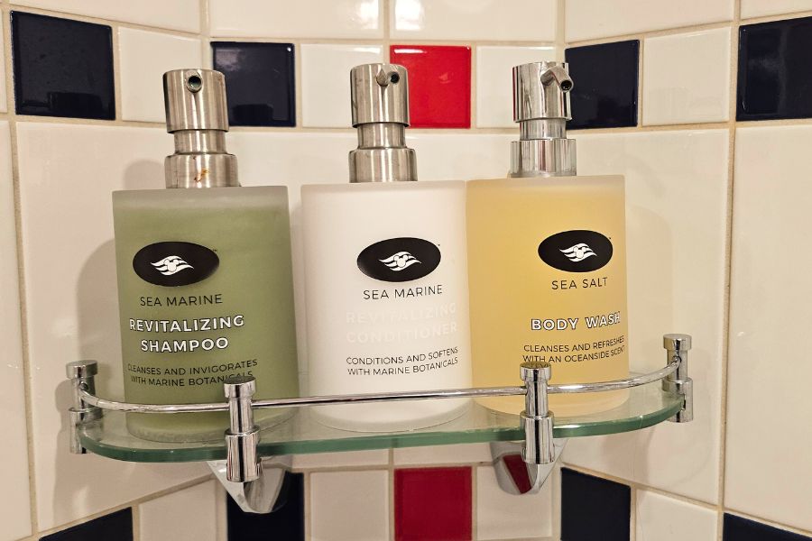 disney fantasy cruise ship activities Disney Cruise Shampoo