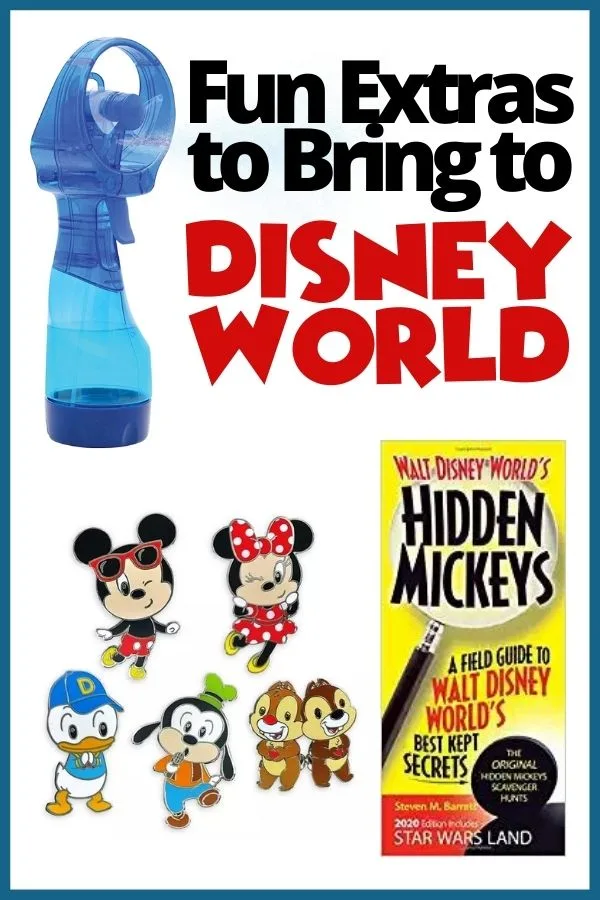 5 Fun Extras to Bring to Disney World