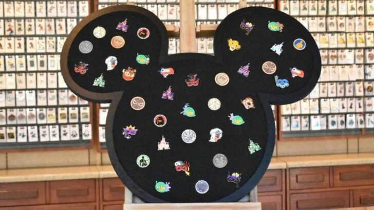 Disney Pin Board