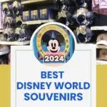 10 BEST Disney World Souvenirs to Consider Buying