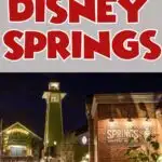 Top Things to do in Disney Springs
