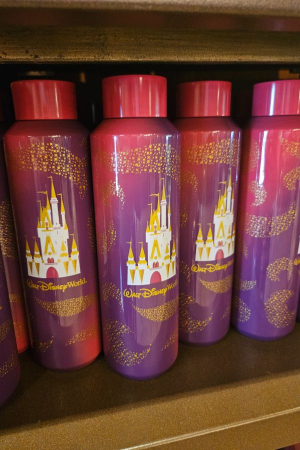 Disney World Starbucks Water Bottle