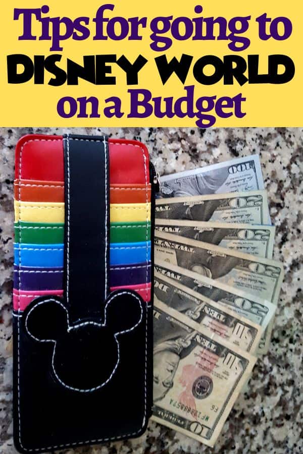 Tips for Going to Disney World on a Budget
