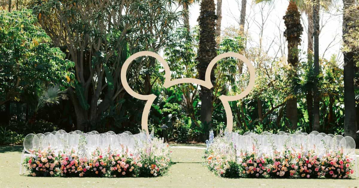 Disney Wedding ideas