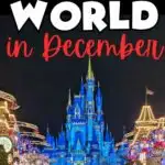 Guide to Going to Disney World in December