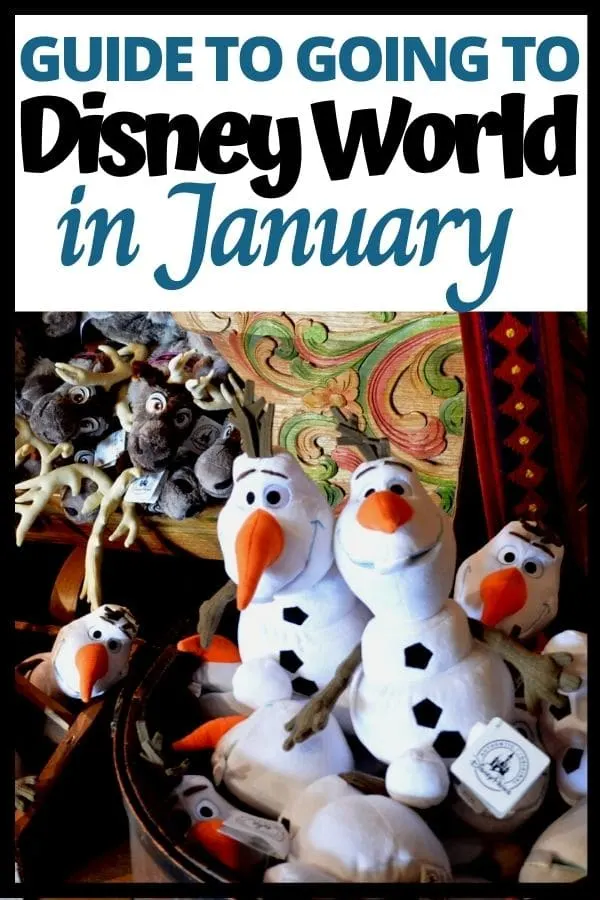 Going to Disney World in January