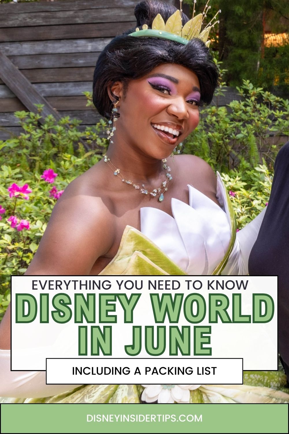 Guide to Going to Disney World in June