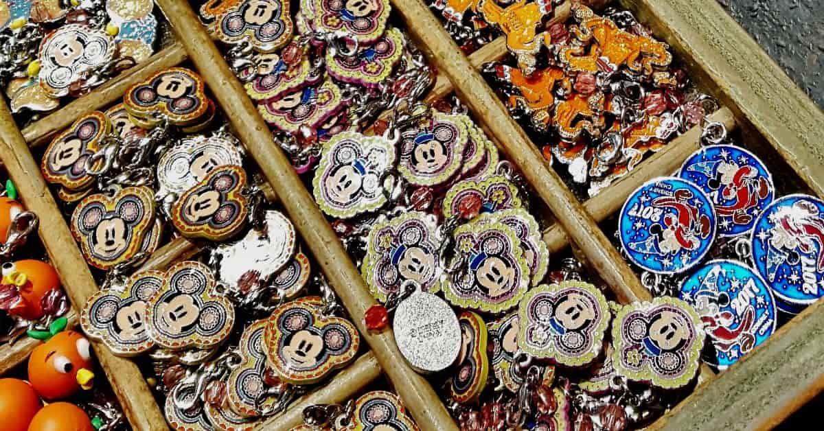 Disneyland Charms