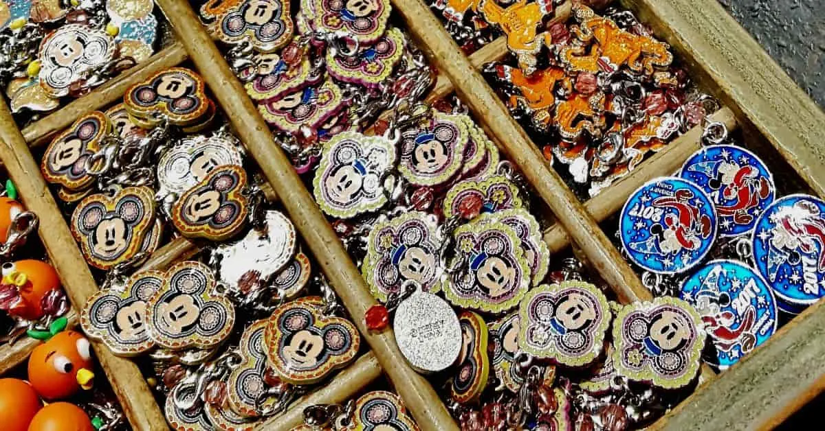 Disneyland Charms