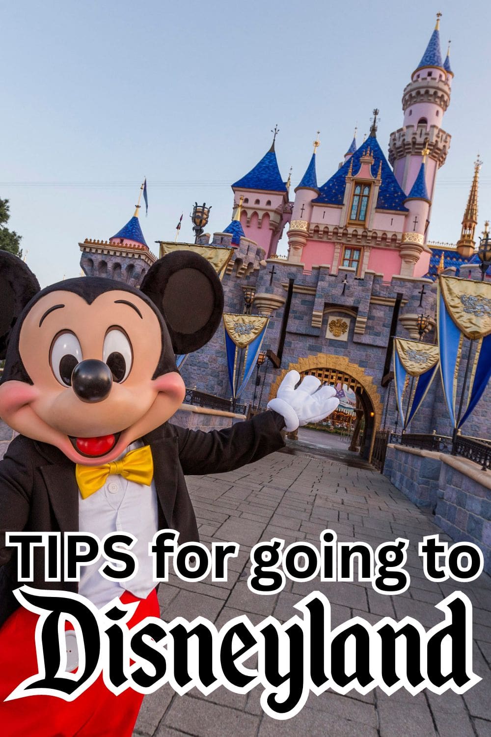 Our Best Disneyland California Tips