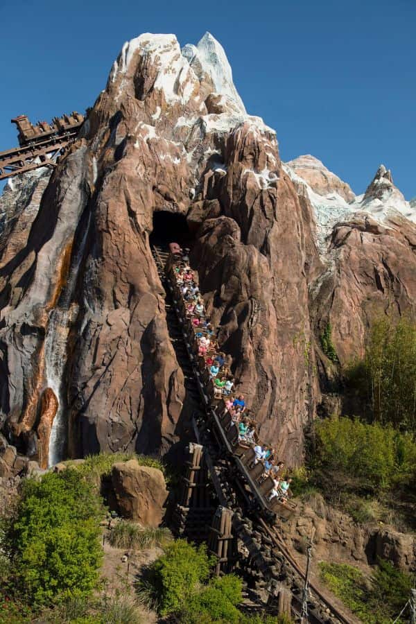 Expedition Everest Drop