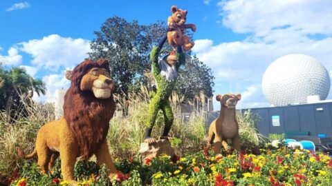 Lion King Topiary
