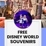 FREE Disney World Souvenirs