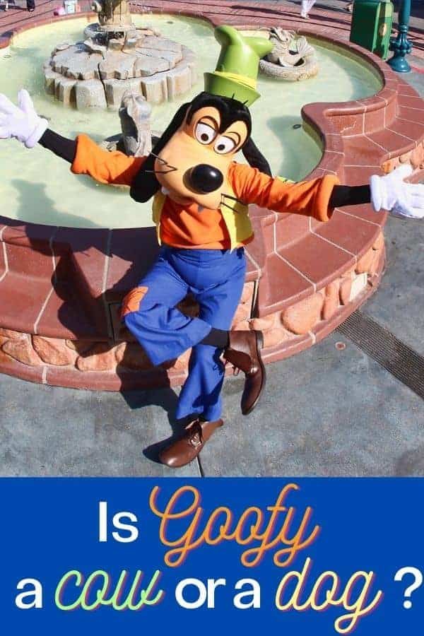 Is Goofy a Dog or a Cow? Here is the answer. - Disney Insider Tips