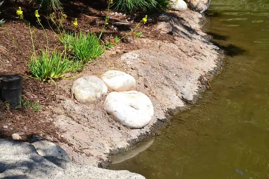 Hidden Stone Mickeys Disneyland