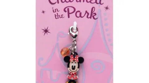 Disney Parks Charmed In The Park 2017 Sorcerer Mickey Charm