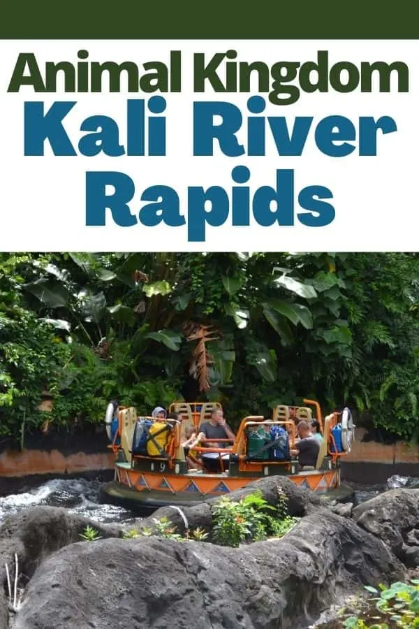 Kali River Rapids Ride in Animal Kingdom